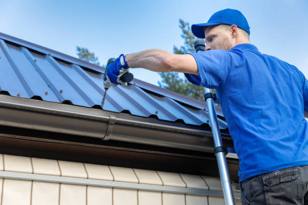 Best Roof Moss and Algae Removal  in Coronita, CA