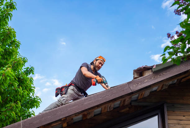 Best Roof Insulation Installation  in Coronita, CA